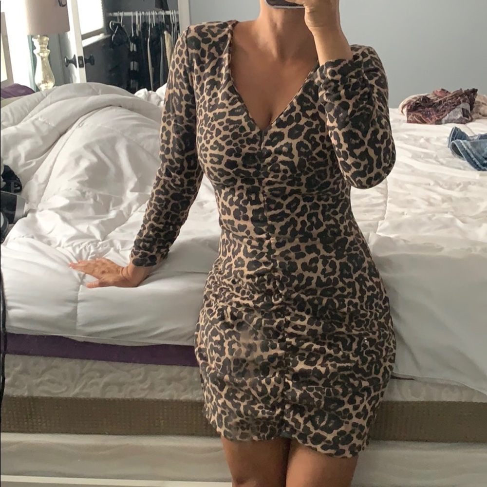 NWOT Zara V neck dress